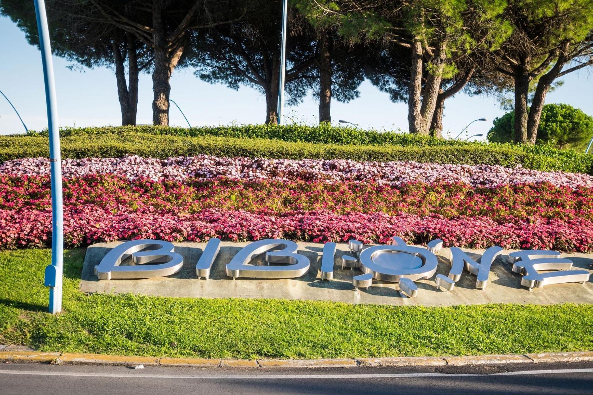 Well-equipped 1 Bedroom Flat For Up To 6 Guests Apartment Bibione
