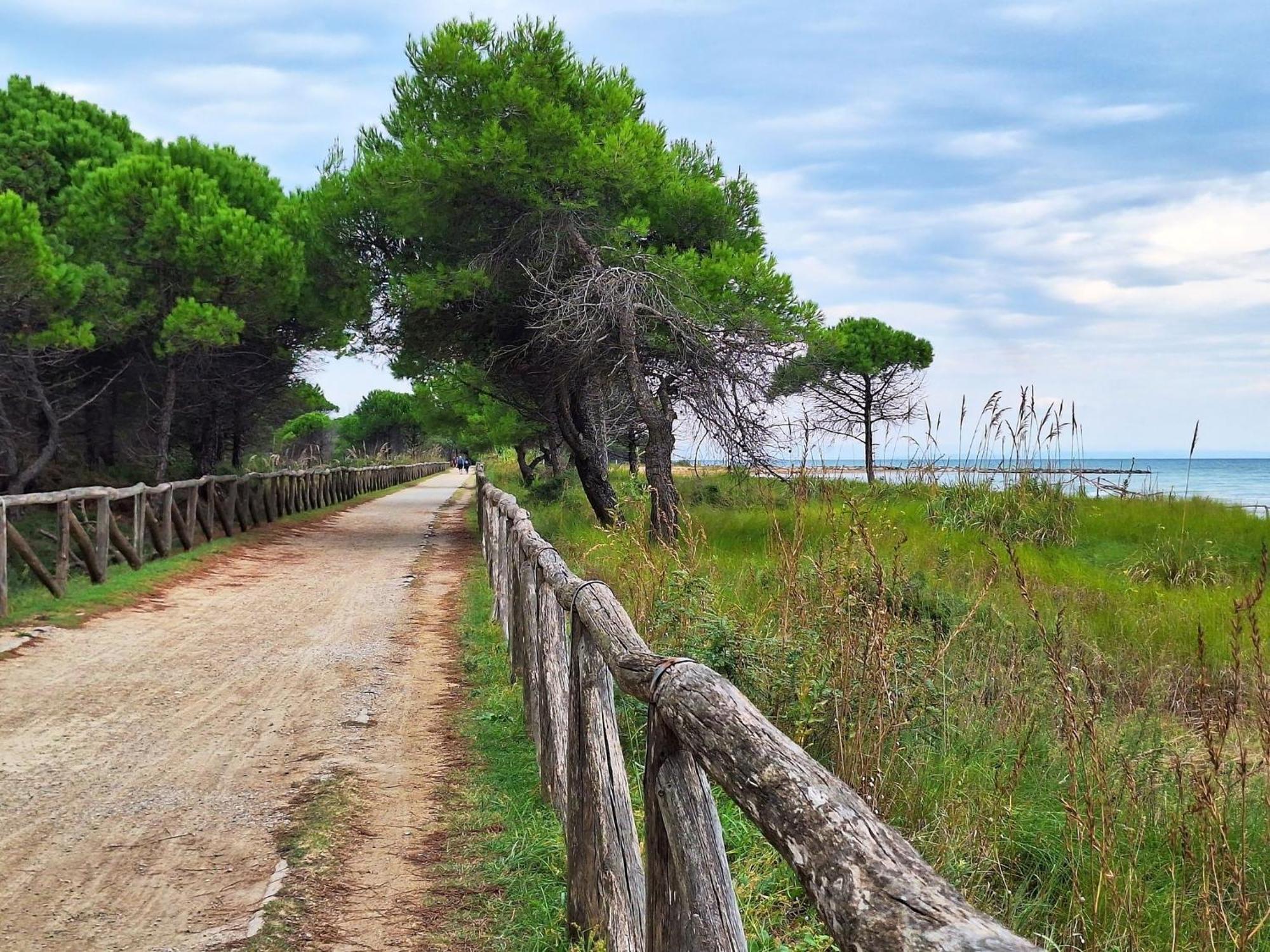 Well-equipped 1 Bedroom Flat For Up To 6 Guests Apartment Bibione